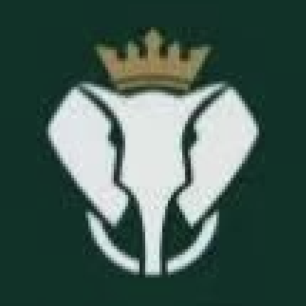 DELFONE CASA Logo